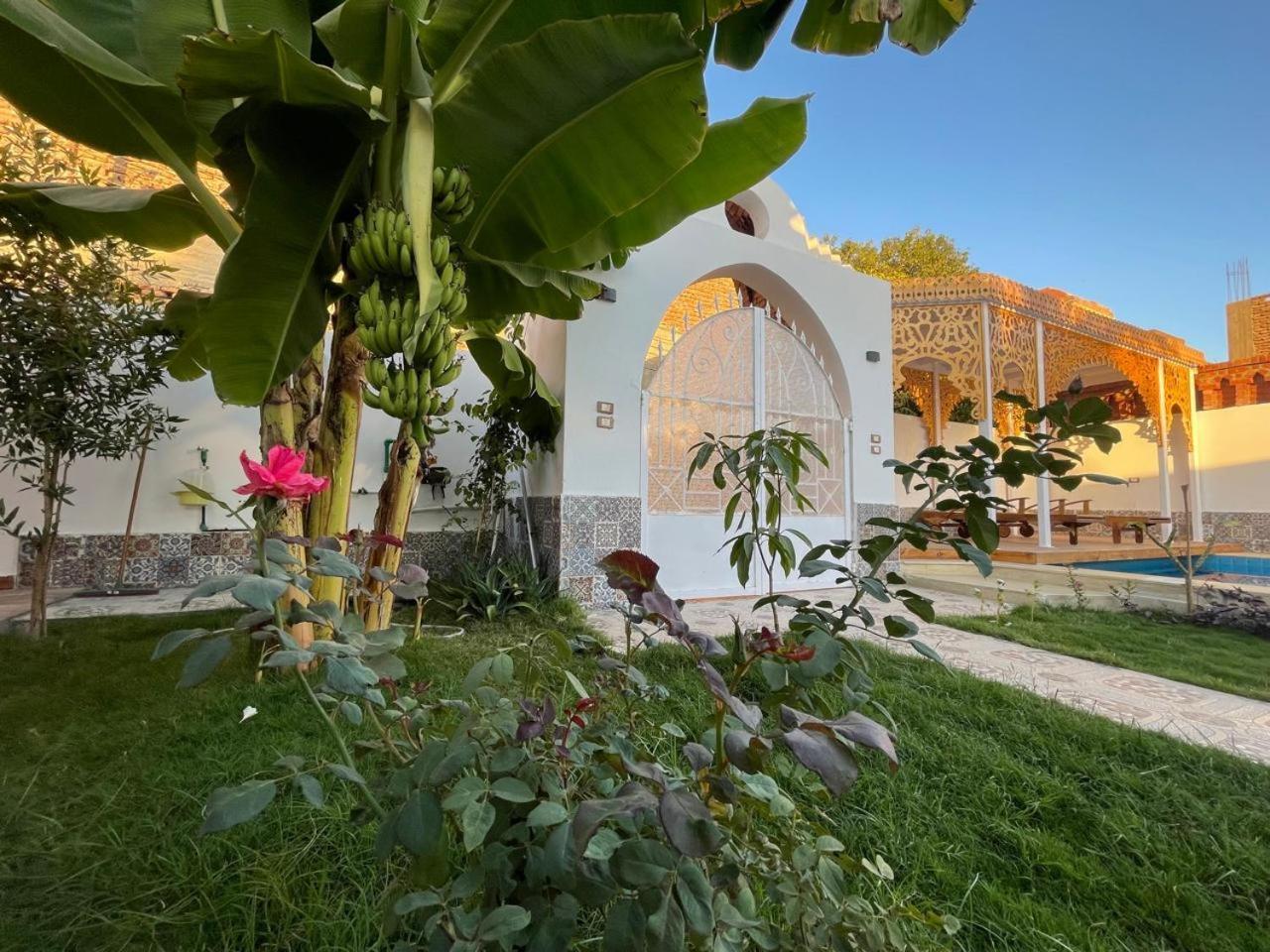Villa Kemet Jazirat al Awwamiyah Экстерьер фото